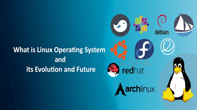 Exploring Linux: Top 10 Operating Systems for Virtual Machine Environments