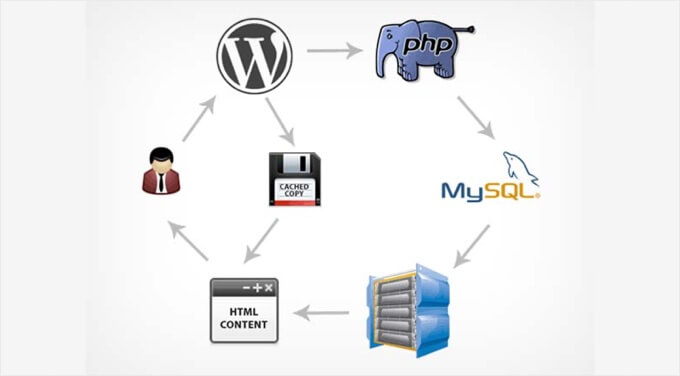 Understanding MySQL: The Backbone of WordPress