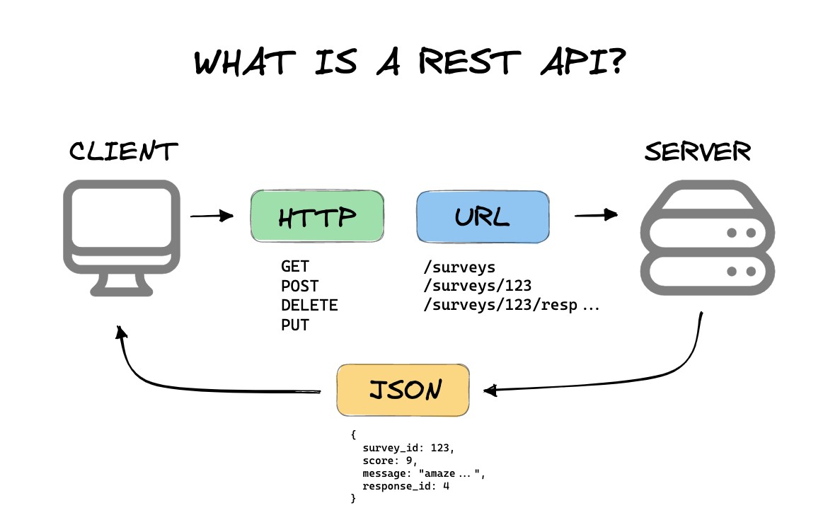 Understanding REST API: Examples, Benefits, and How to Use It