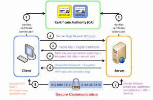 Public Key Digital Certificates